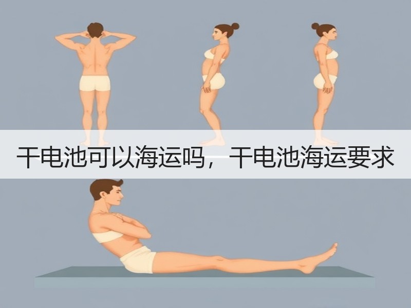 干电池可以海运吗，干电池海运要求