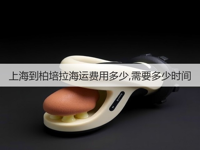 上海到柏培拉海运费用多少,需要多少时间(图1) 上海到柏培拉海运费用多少,需要多少时间(图1)