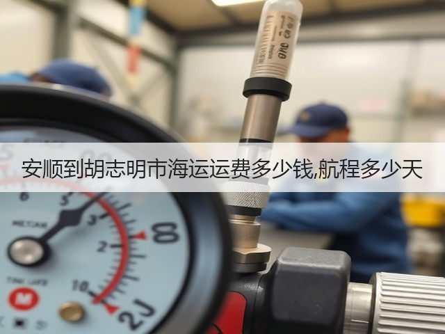 安顺到胡志明市海运运费多少钱,航程多少天(图2) 安顺到胡志明市海运运费多少钱,航程多少天(图2)