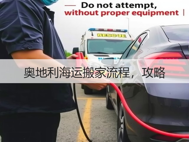 奥地利海运搬家流程,攻略(图2) 奥地利海运搬家流程,攻略(图2)