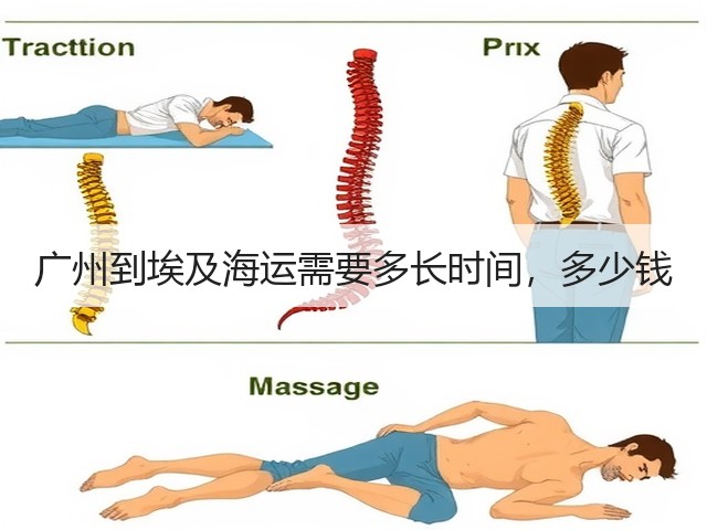 广州到埃及海运需要多长时间，多少钱(图1)