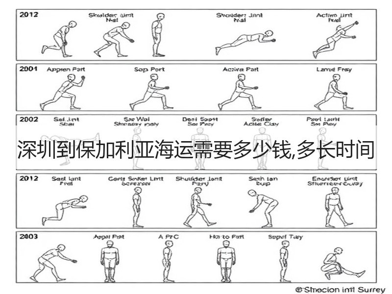 深圳到保加利亚海运需要多少钱,多长时间