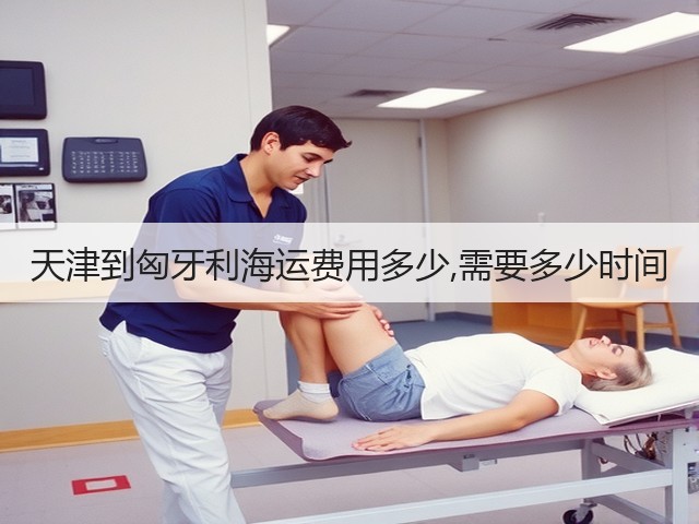 天津到匈牙利海运费用多少,需要多少时间(图3)