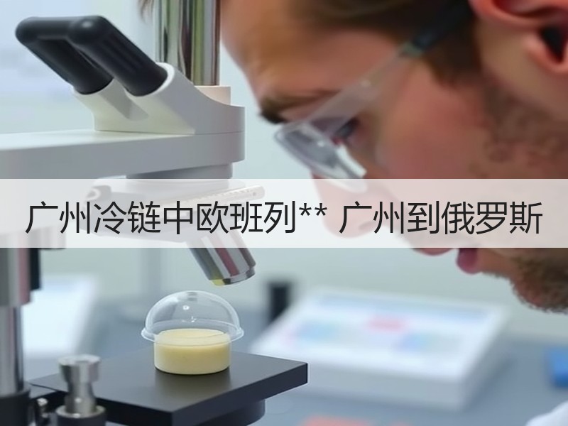 广州冷链中欧班列** 广州到俄罗斯