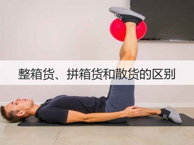 整箱货、拼箱货和散货的区别(图2)