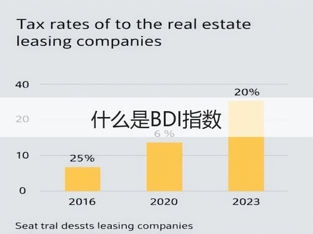 什么是BDI指数(图2) 什么是BDI指数(图2)