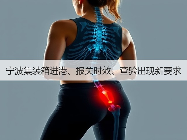 宁波集装箱进港、报关时效、查验出现新要求(图1) 宁波集装箱进港、报关时效、查验出现新要求(图1)