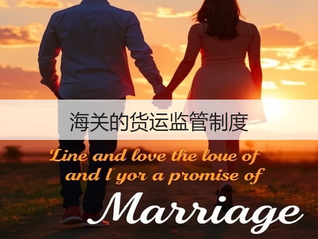 海关的货运监管制度(图3) 海关的货运监管制度(图3)