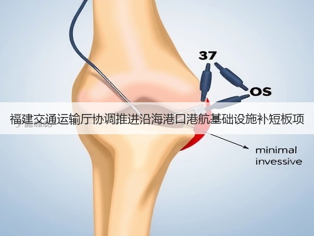 福建交通运输厅协调推进沿海港口港航基础设施补短板项(图1) 福建交通运输厅协调推进沿海港口港航基础设施补短板项(图1)
