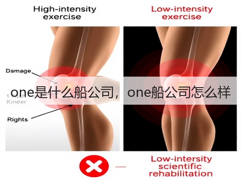 one是什么船公司，one船公司怎么样