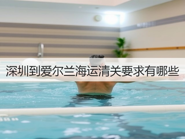 深圳到爱尔兰海运清关要求有哪些(图2)