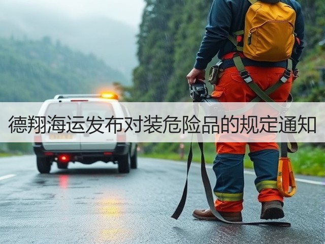 德翔海运发布对装危险品的规定通知(图1)
