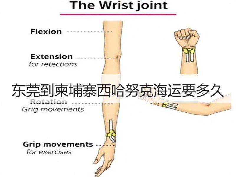 东莞到柬埔寨西哈努克海运要多久