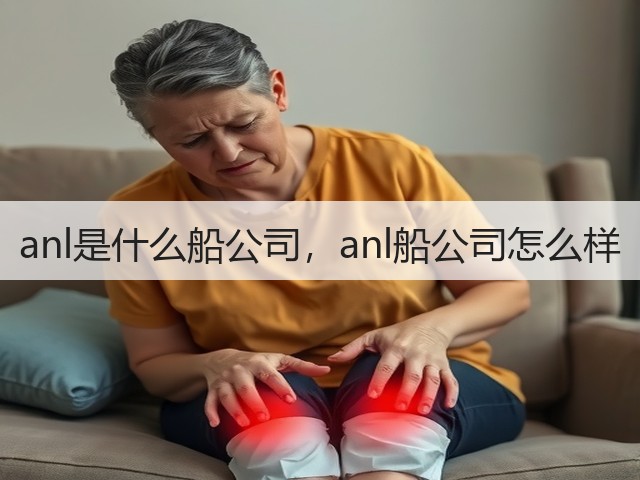 anl是什么船公司，anl船公司怎么样(图2)