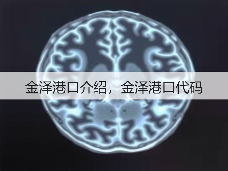 金泽港口介绍，金泽港口代码