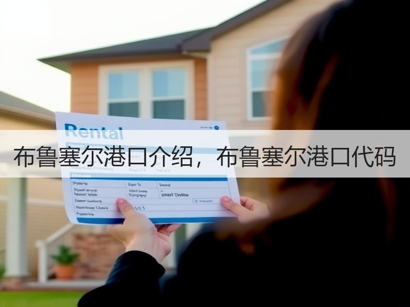 布鲁塞尔港口介绍，布鲁塞尔港口代码