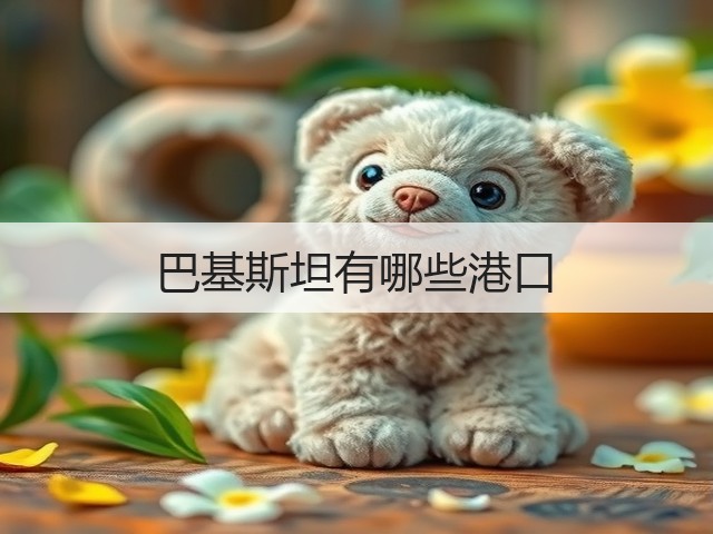 巴基斯坦有哪些港口(图3)