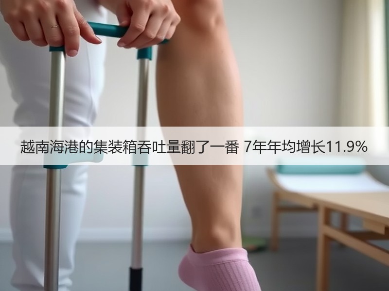 越南海港的集装箱吞吐量翻了一番 7年年均增长11.9%