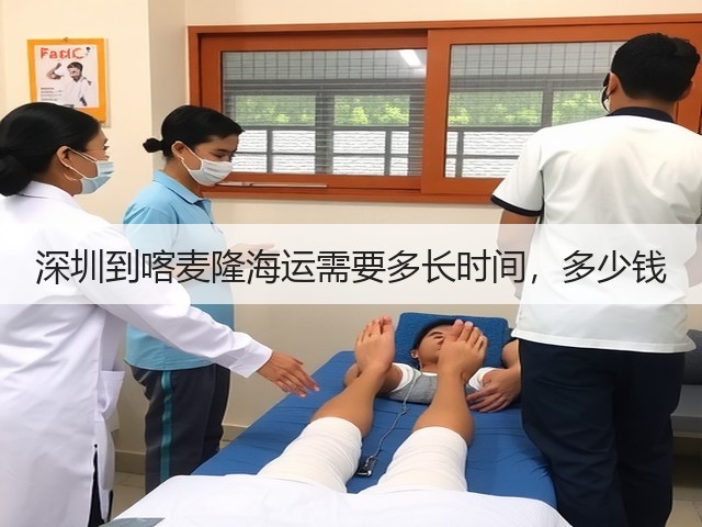 深圳到喀麦隆海运需要多长时间，多少钱(图2)