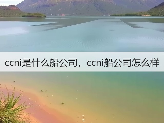 ccni是什么船公司,ccni船公司怎么样(图3) ccni是什么船公司,ccni船公司怎么样(图3)