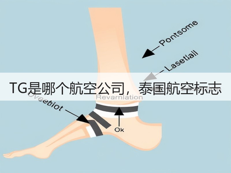 TG是哪个航空公司，泰国航空标志