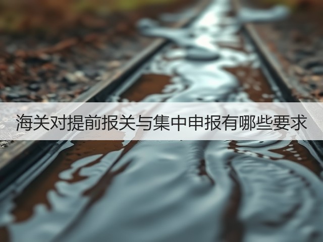 海关对提前报关与集中申报有哪些要求(图1) 海关对提前报关与集中申报有哪些要求(图1)