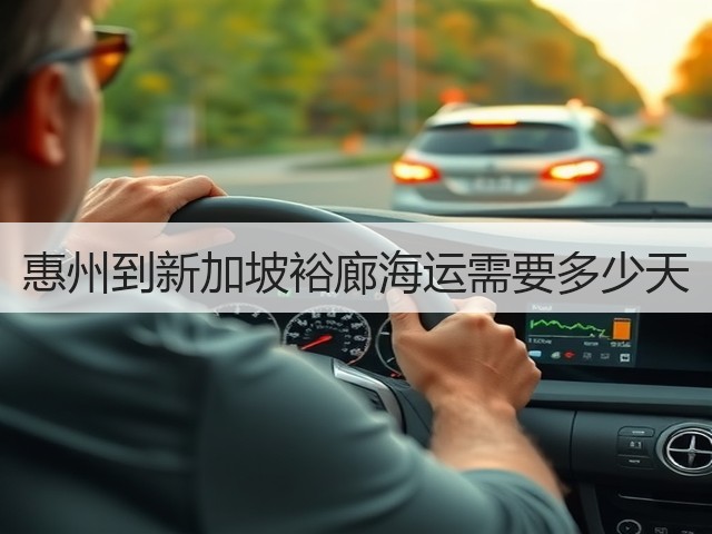 惠州到新加坡裕廊海运需要多少天(图3) 惠州到新加坡裕廊海运需要多少天(图3)