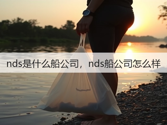 nds是什么船公司,nds船公司怎么样(图2) nds是什么船公司,nds船公司怎么样(图2)