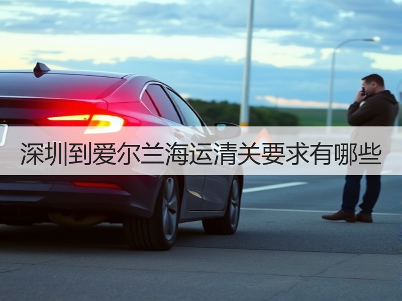 深圳到爱尔兰海运清关要求有哪些
