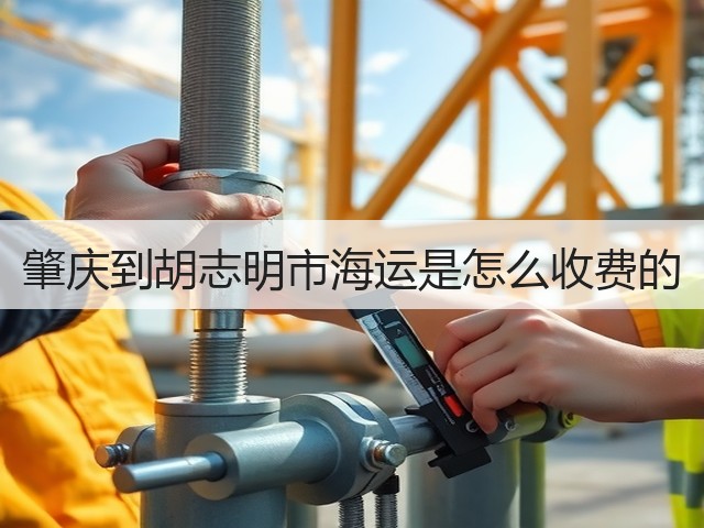 肇庆到胡志明市海运是怎么收费的(图1)