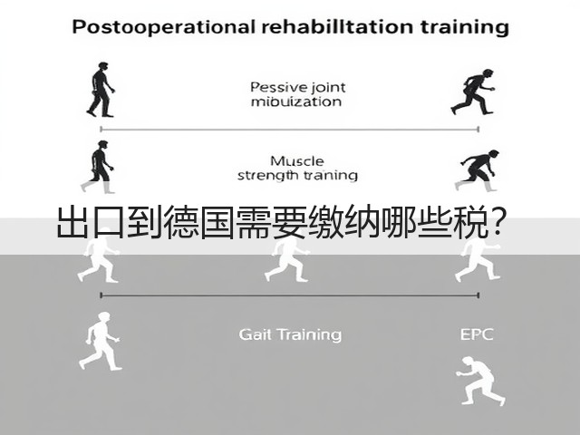 出口到德国需要缴纳哪些税？(图2)