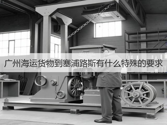 广州海运货物到塞浦路斯有什么特殊的要求(图2)