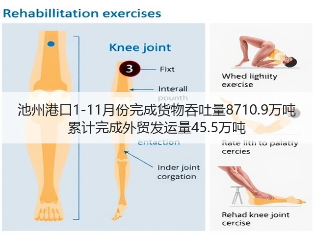 池州港口1-11月份完成货物吞吐量8710.9万吨 累计完成外贸发运量45.5万吨(图3)