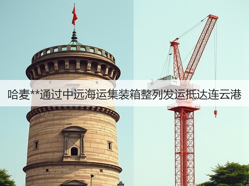 哈麦**通过中远海运集装箱整列发运抵达连云港