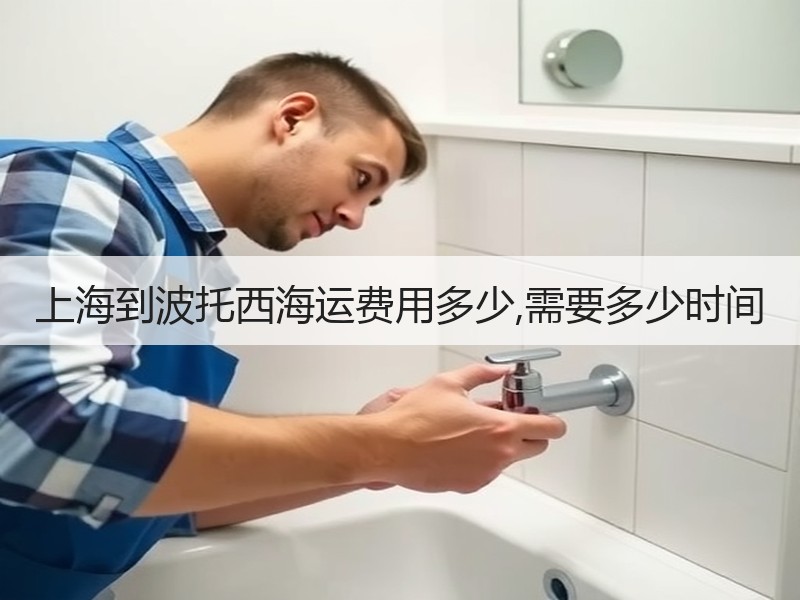 上海到波托西海运费用多少,需要多少时间