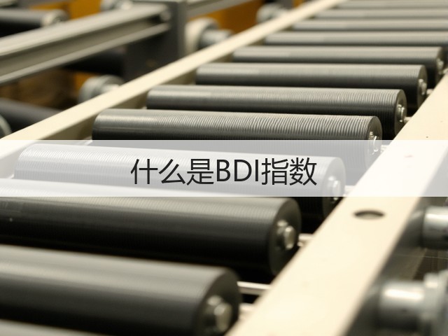 什么是BDI指数(图2)