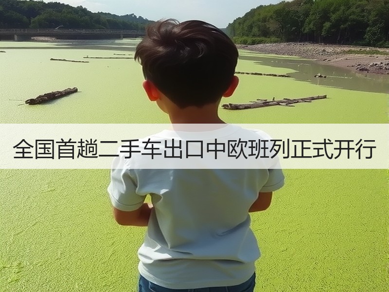 全国首趟二手车出口中欧班列正式开行