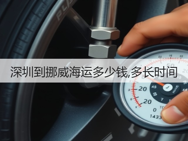 深圳到挪威海运多少钱,多长时间(图1)
