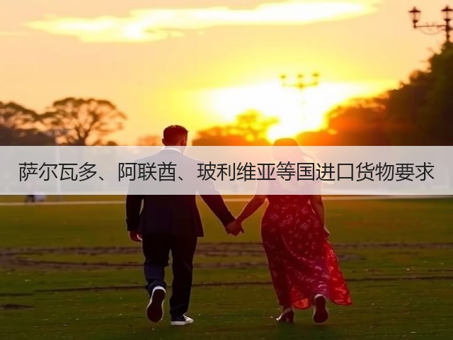 萨尔瓦多、阿联酋、玻利维亚等国进口货物要求(图1) 萨尔瓦多、阿联酋、玻利维亚等国进口货物要求(图1)