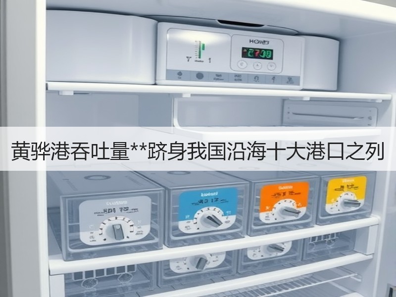 黄骅港吞吐量**跻身我国沿海十大港口之列