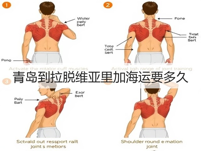 青岛到拉脱维亚里加海运要多久(图3) 青岛到拉脱维亚里加海运要多久(图3)