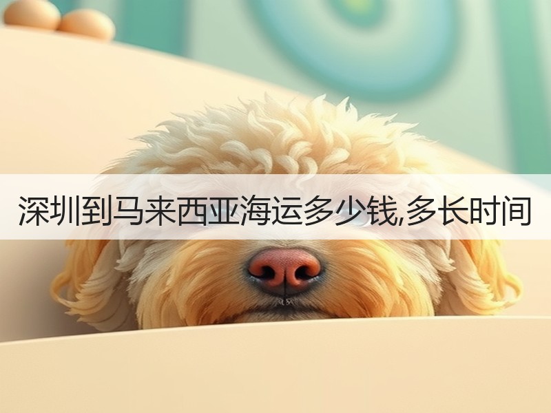 深圳到马来西亚海运多少钱,多长时间