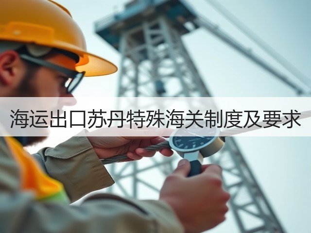 海运出口苏丹特殊海关制度及要求(图1) 海运出口苏丹特殊海关制度及要求(图1)