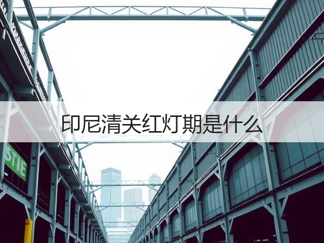 印尼清关红灯期是什么(图3)