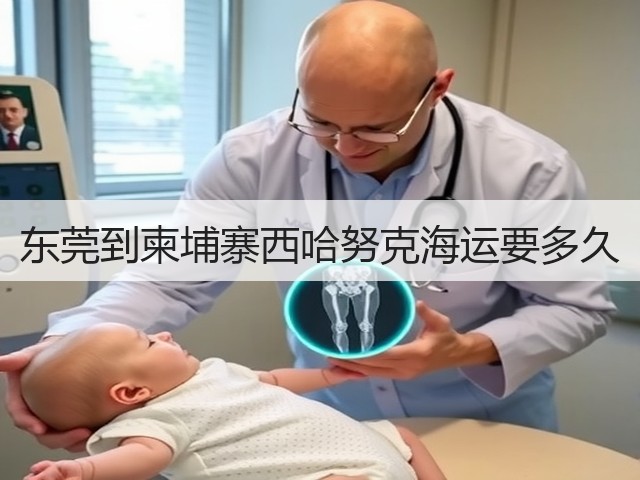 东莞到柬埔寨西哈努克海运要多久(图2) 东莞到柬埔寨西哈努克海运要多久(图2)