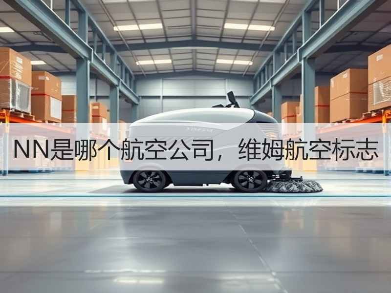 NN是哪个航空公司，维姆航空标志