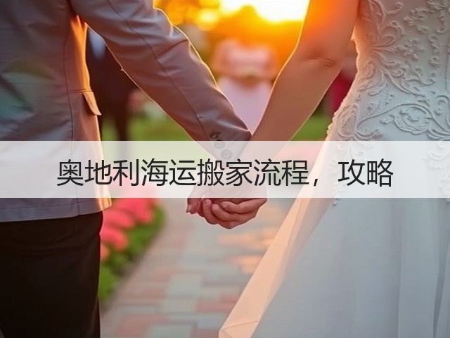 奥地利海运搬家流程,攻略(图2) 奥地利海运搬家流程,攻略(图2)