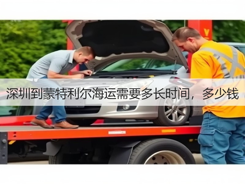 深圳到蒙特利尔海运需要多长时间，多少钱
