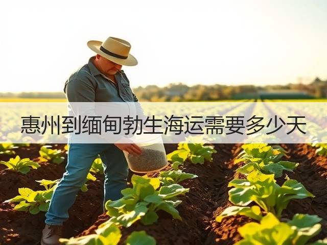 惠州到缅甸勃生海运需要多少天(图2) 惠州到缅甸勃生海运需要多少天(图2)