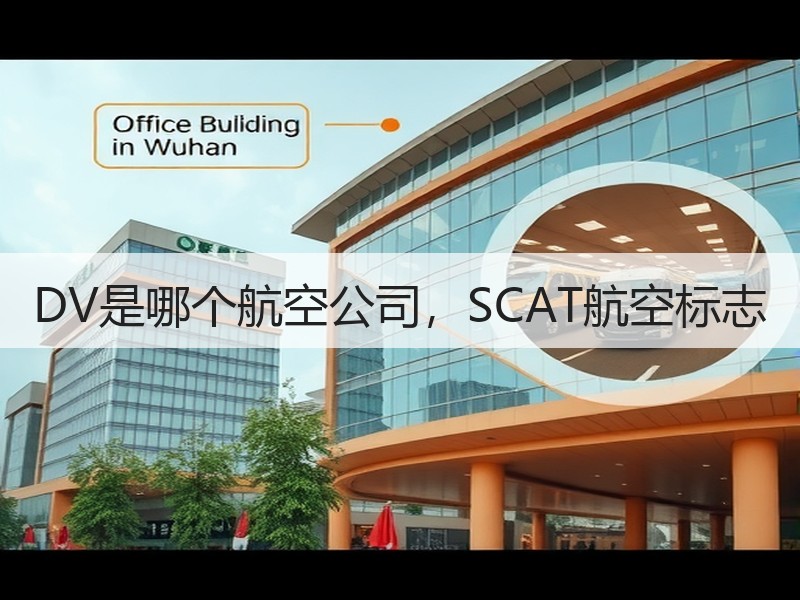 DV是哪个航空公司，SCAT航空标志